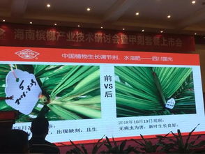 创新共赢 ——2018槟榔产业技术研讨交流会分享与技术推广服务