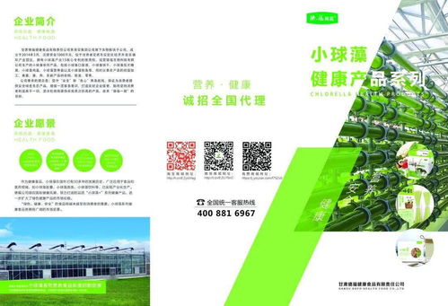第127届广交会云端举行 小球藻系列健康食品抢抓机遇在线展播技术推广服务